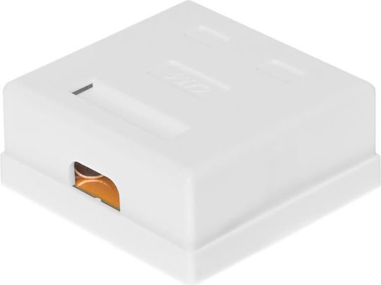 Netrack повърхностен монтажен контакт 2 x RJ45 8P8C FTP Cat 6 LSA 106-13