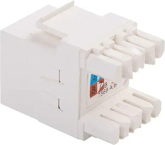 Keystone Keystone 1 Stück