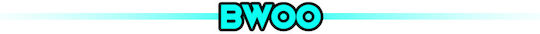 BWOO Braided USB-C to Lightning Cable 27W Black 1m
