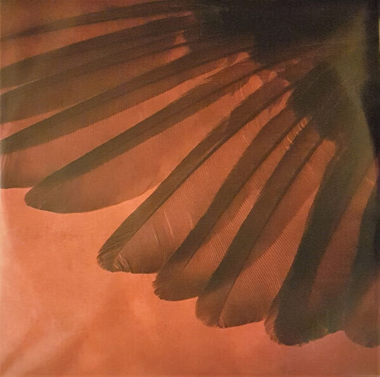 Scorpions Born To Touch Your Feelings 2 Vinyl
