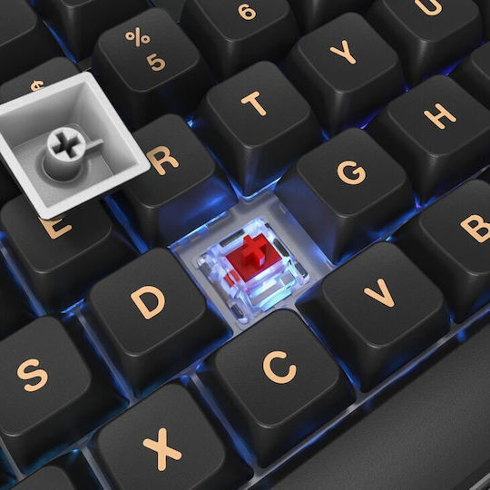 Montech MKey TKL Darkness Gaming Mechanical Keyboard Tenkeyless with Gateron G-Pro Red switches and RGB lighting (English US)