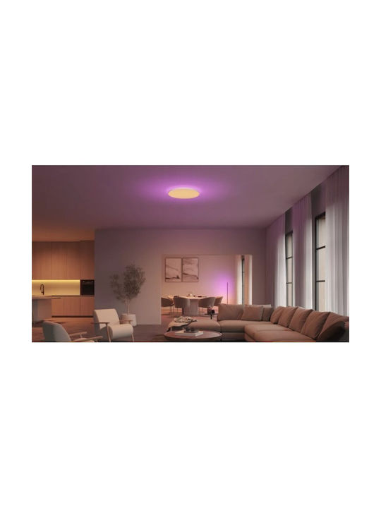 Philips Ceiling Mount Light White