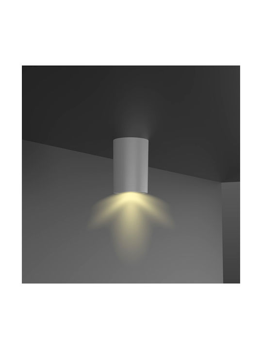 Inlight Ceiling Mount Light 30cm Gray with Integrated LED