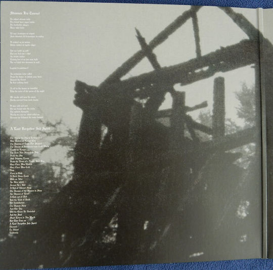 Burzum Aske Vinyl