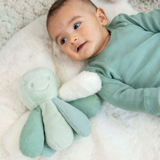 Nattou Baby Activity Toy Octopus from Fabric with Sounds