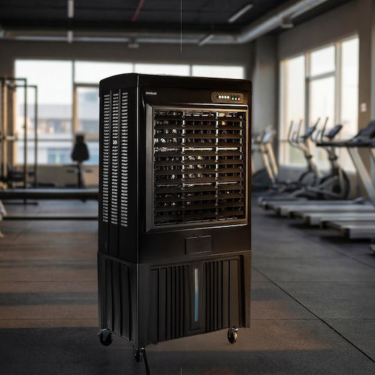Cecotec 110000 Professional Air Cooler 350W