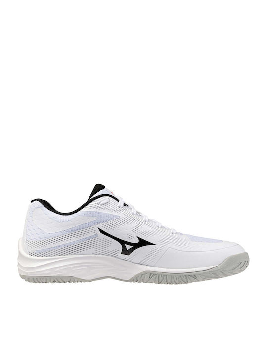 Mizuno