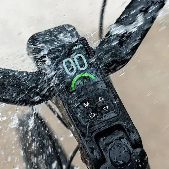 Fiido C700 City E-Bike – Carbon Gürtelantrieb