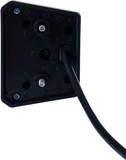 Neon License Plate Light 2 Functions 12v24v Horpol