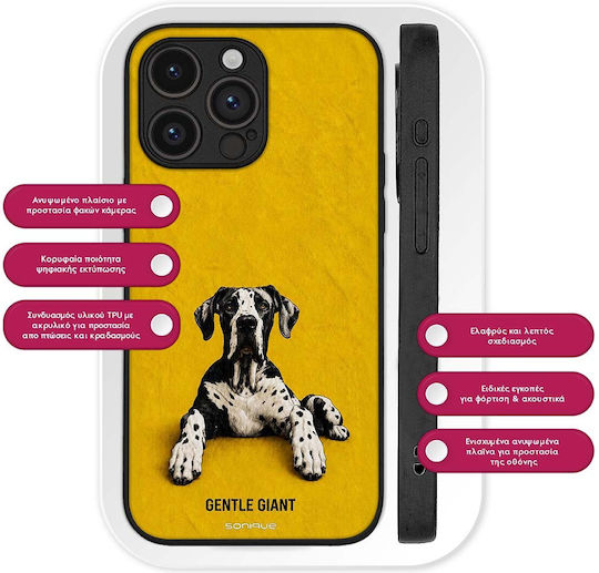 Sonique Case Men's Edition Honor 70 Lite 5G Dalmatian Dog