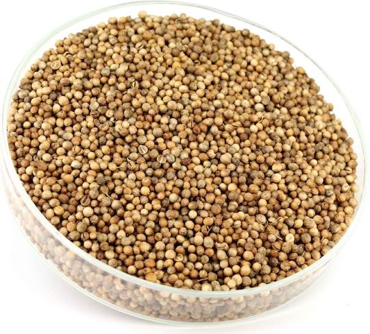 RolPol Coriandru 100g