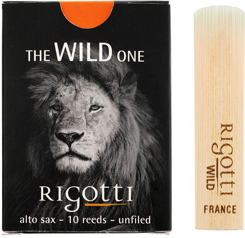 Rigotti Jazz Wild One Алто Сакс 1.5