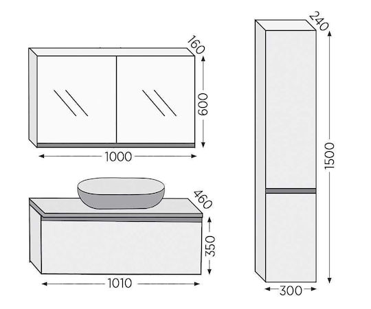 Furnibath Πάγκος με Νιπτήρα & Καθρέπτη Μ101xΒ46xΥ50cm Grey