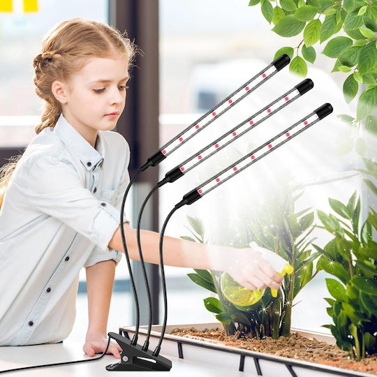 Wachstumslicht 6000K mit LED und Leistung 15W
