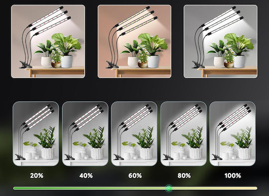 Wachstumslicht 6000K mit LED und Leistung 15W