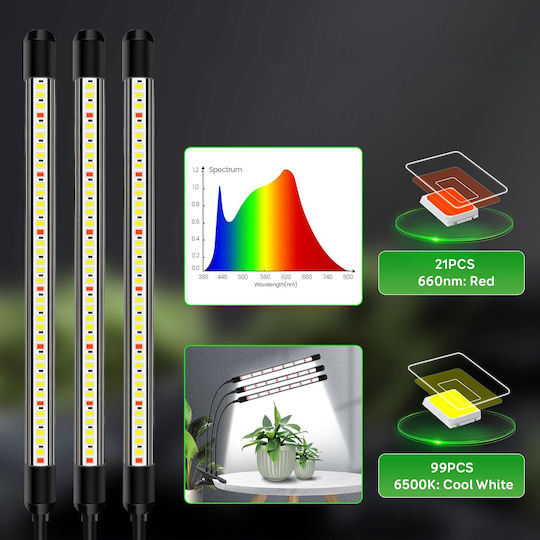 Wachstumslicht 6000K mit LED und Leistung 15W