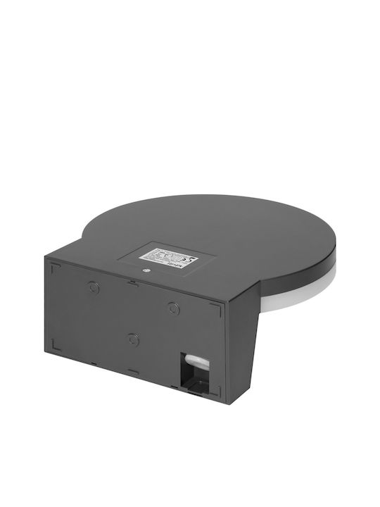 Adviti Wandmontiertes Außenbeleuchtung LED IP65 15W mit Natürliches Weiß Licht