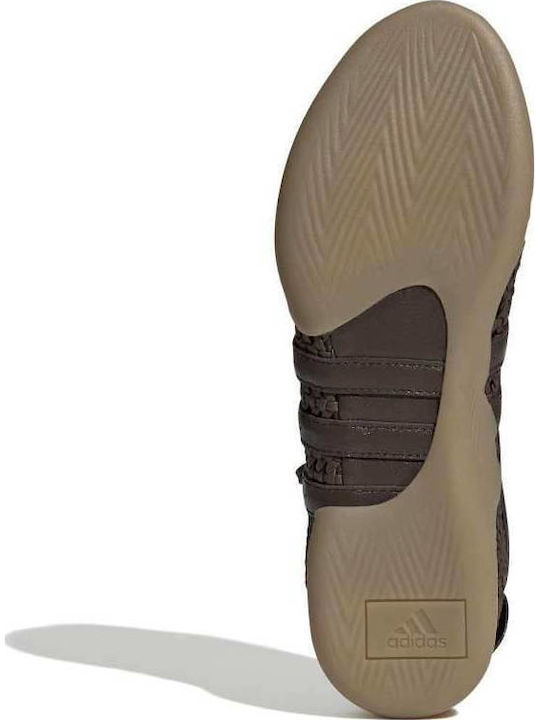 Damen Ballerinas in Braun Farbe