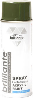 Brilliante Grüne Sprühfarbe 6003 400ml