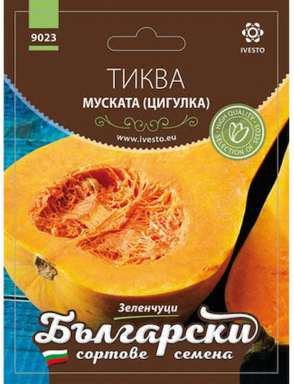 Ivesto Семена Тиква