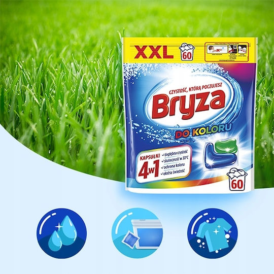 Reckitt Professionelles Waschmittel für Bunte Kleidung (60 Kapseln)