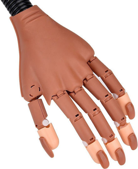 Educational Hand Aesthetics