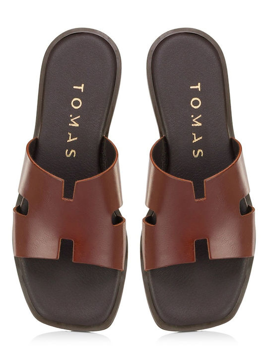 Tomas Shoes