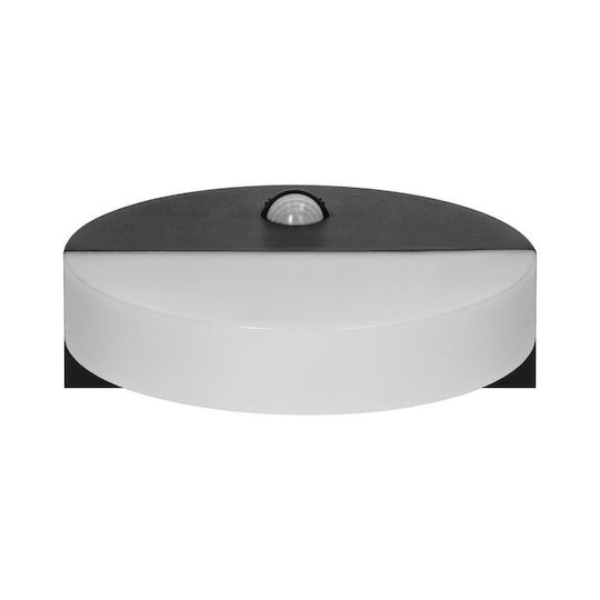 Orno Wandmontierte Außenleuchte LED IP65 10W mit Natürliches Weiß Licht
