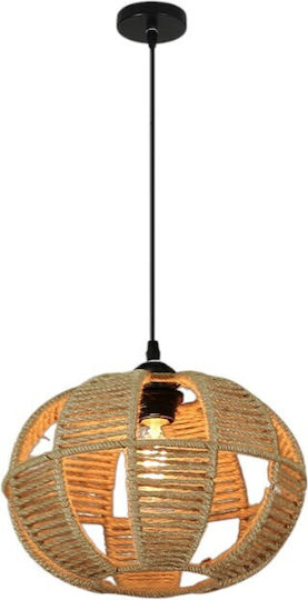 Pendant Ceiling Light 30x19cm