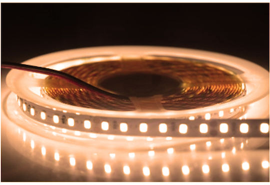 Universe LED Strip 24V 5m