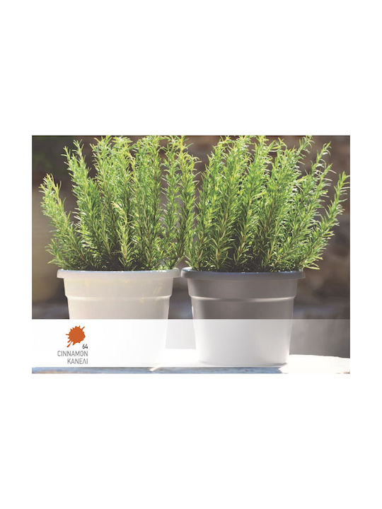 Viomes Cylindro Nr Pot Plastic Cinnamon 20x20x15cm.