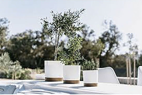 Prosperplast Flowerpot Саксия Зелен Prosperplast Flowerpot Саксия Зелен