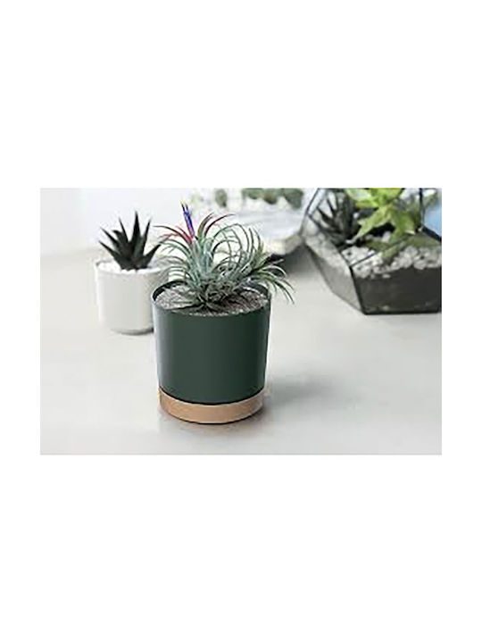 Prosperplast Flowerpot Ghiveci Verde cu farfurie
