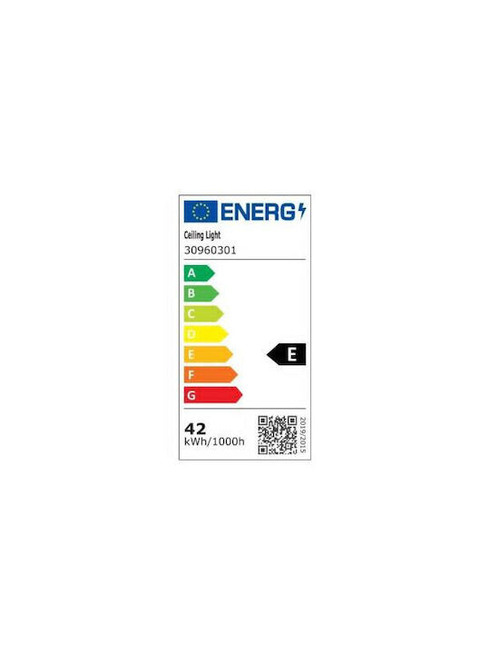 Lightplanet Deckenleuchte montieren 50cm mit integrierter LED