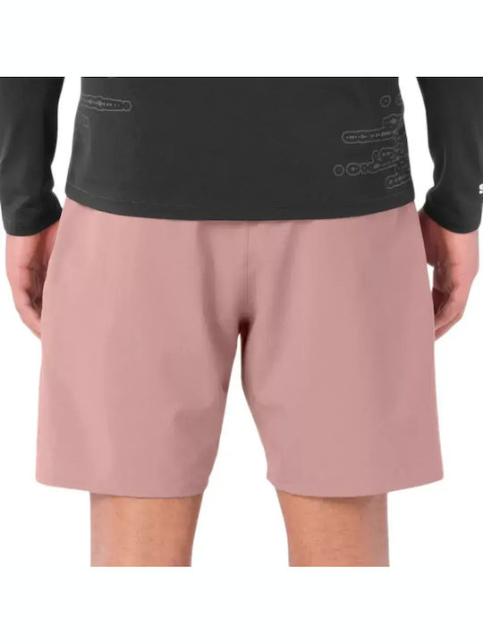 Salomon Salomon