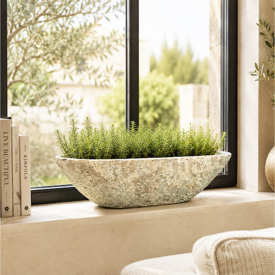 Ptmd Hayle Саксия Бетон Сив 56x21x18εκ.