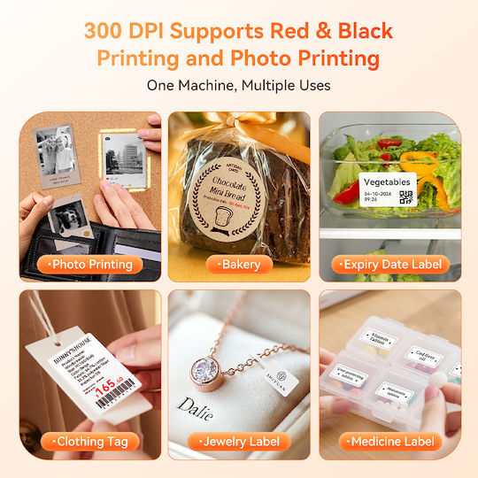 Niimbot B2 Pro Electronic Single Label Maker with Bluetooth Red