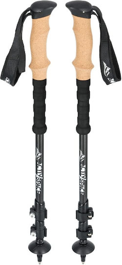 Activ Space Wanderstöcke aus Kohlefaser 2er Pack Schwarze