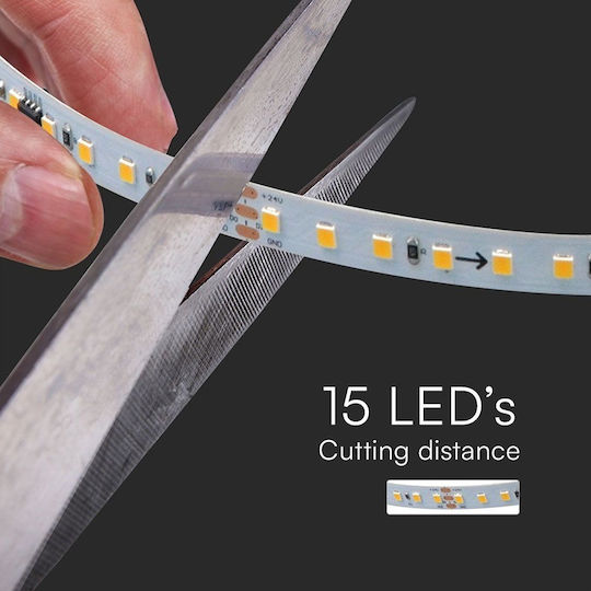 V-TAC LED лента 24V Студено бяло светлина 10m тип SMD2835
