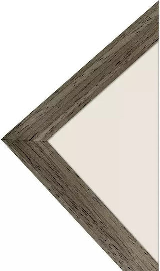 Focus Plastic Photo Frame Focus Plastic Photo Frame