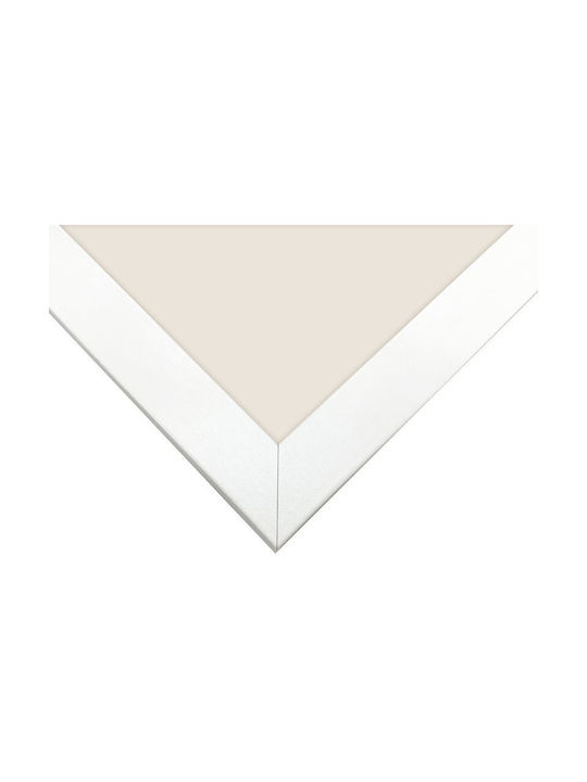 Focus Plastic Photo Frame with White Frame