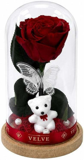 Rote Getrocknete Rose In Glasdom Weißer Teddybär Schmetterling Perlen Rote Getrocknete Rose In Glasdom Weißer Teddybär Schmetterling Perlen