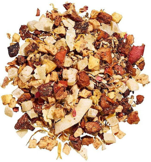 Ronnefeldt Fruit Tea Pina Colada 100g