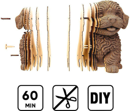 Maltipoo Puzzle 3D