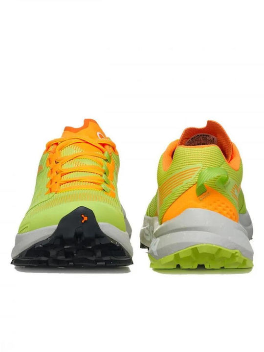 Scarpa