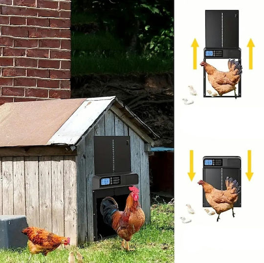 Ușă automată pentru coteț de găini 32x25cm