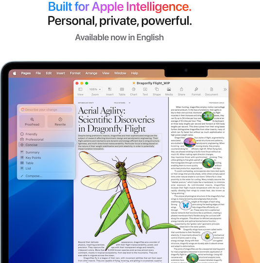 Apple MacBook Air 13.6" IPS Retina Display (M4-10-Core/16GB/512GB SSD/10-Core GPU) with 35W Charger (Dual Port) Sky Blue (International English Keyboard)