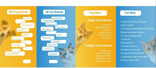 Total Dna – Pet Edition Cea Mai Detaliată Analiză Genetică Pentru Câinele Sau Pisica Dumneavoastră Origine Sănătate & Comportament