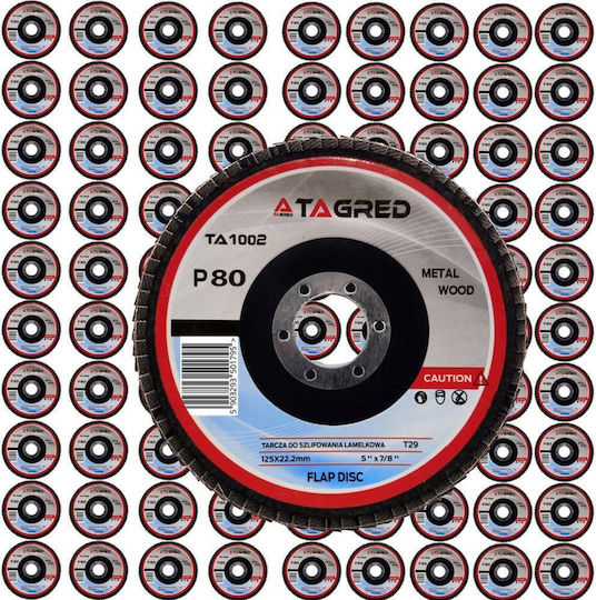 Ta1002 Circular Metal Grinding Disc 125mm/22.23mm P80 Tagred