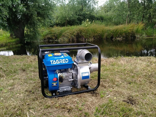 Tagred Pompa de apă de suprafață pe benzină 7.5hp